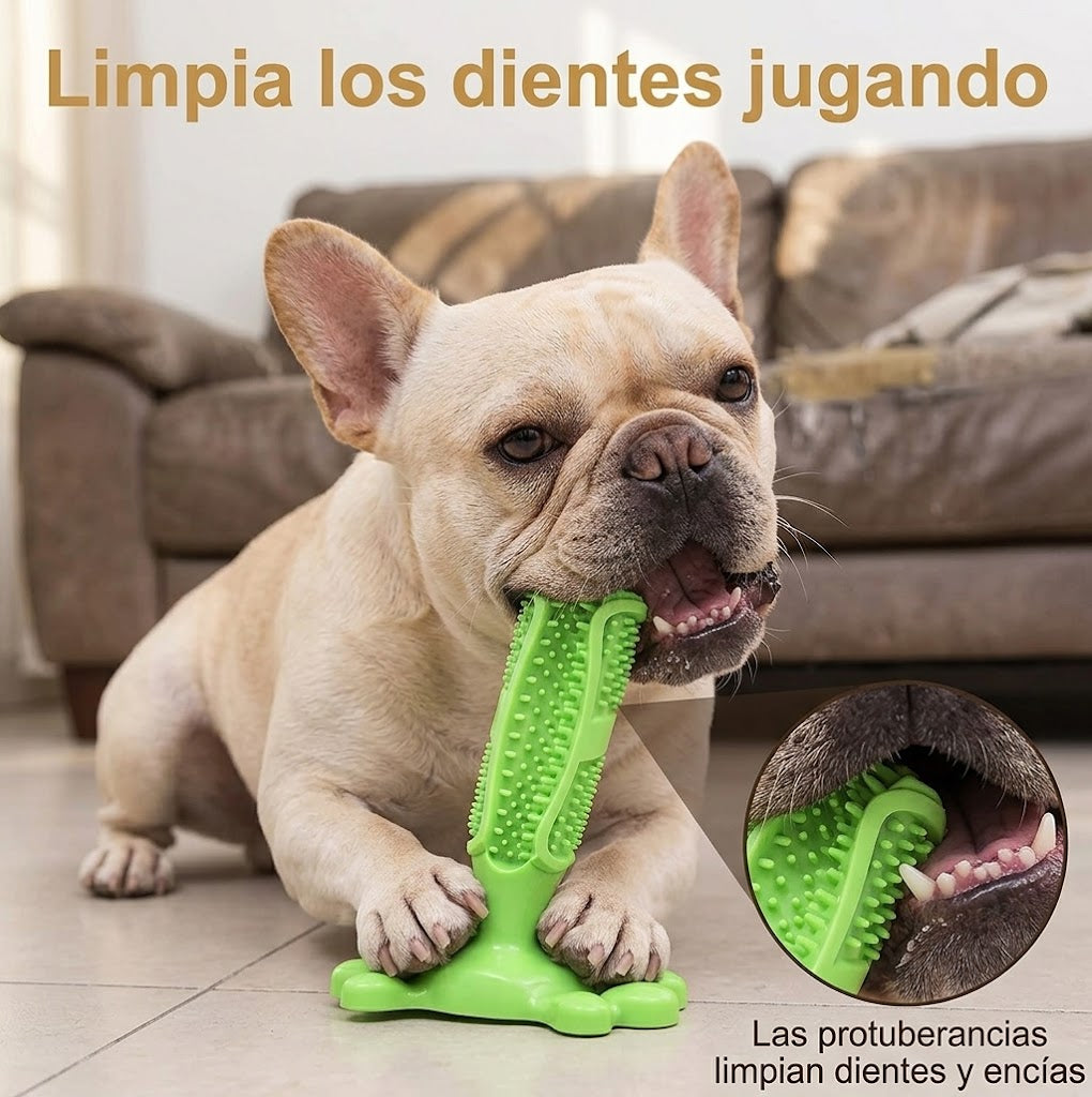 Juguete Antiestrés para Perros | Higiene Dental sin Esfuerzo