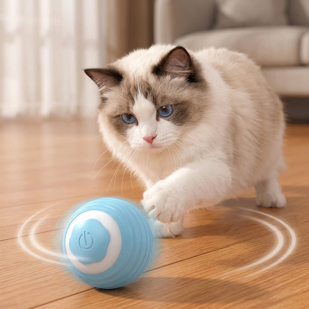 Pelota Recargable para Gatos — Juego Automático 360°